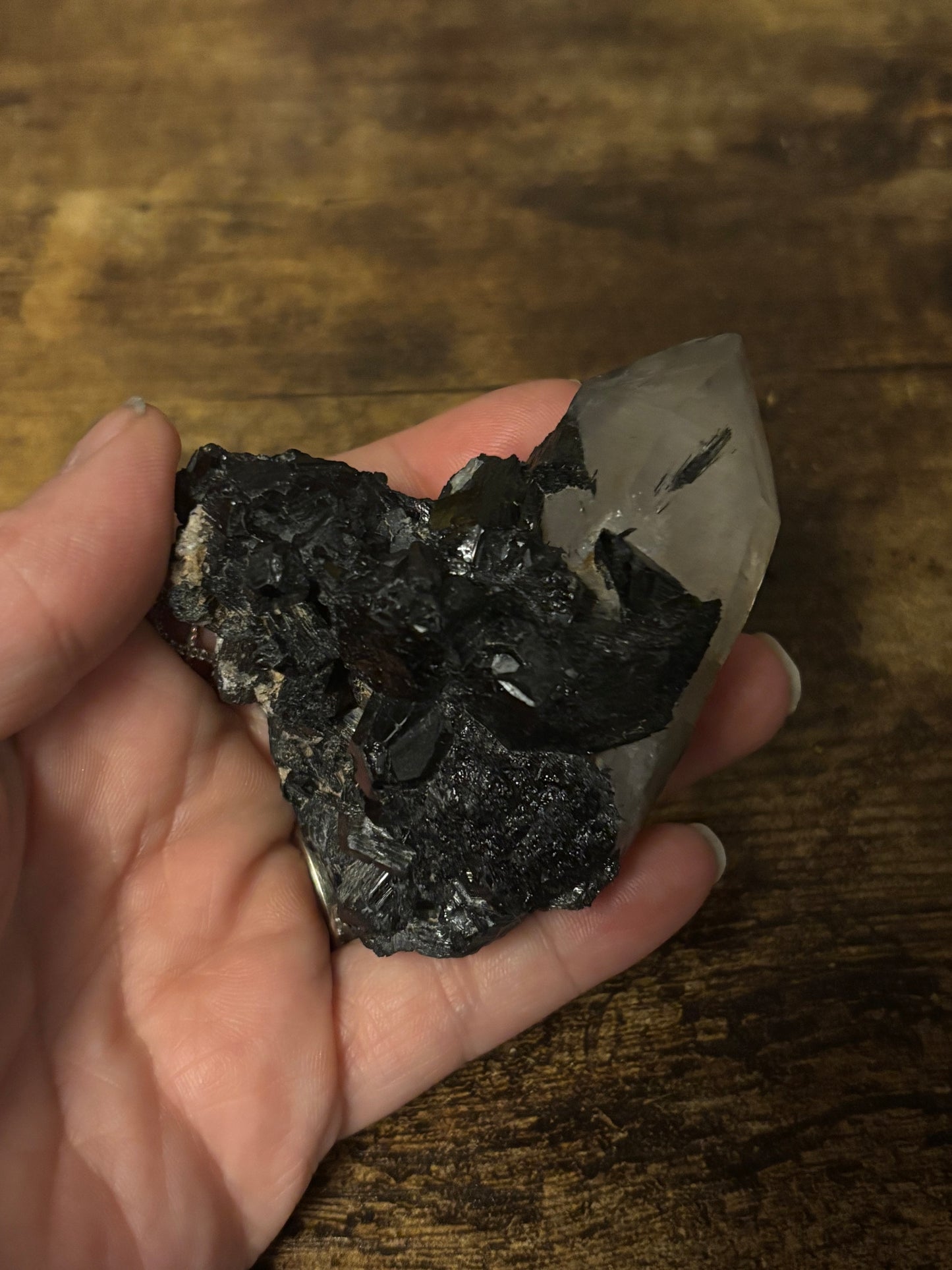 🖤Scared Shield One-of-a-Kind Black Tourmaline & Quartz Cluster | Protection Specimen | Grounding Crystal (142g)Collector•  EMF Protection • Grounding & Clarity Stone • Raw Healing Crystal