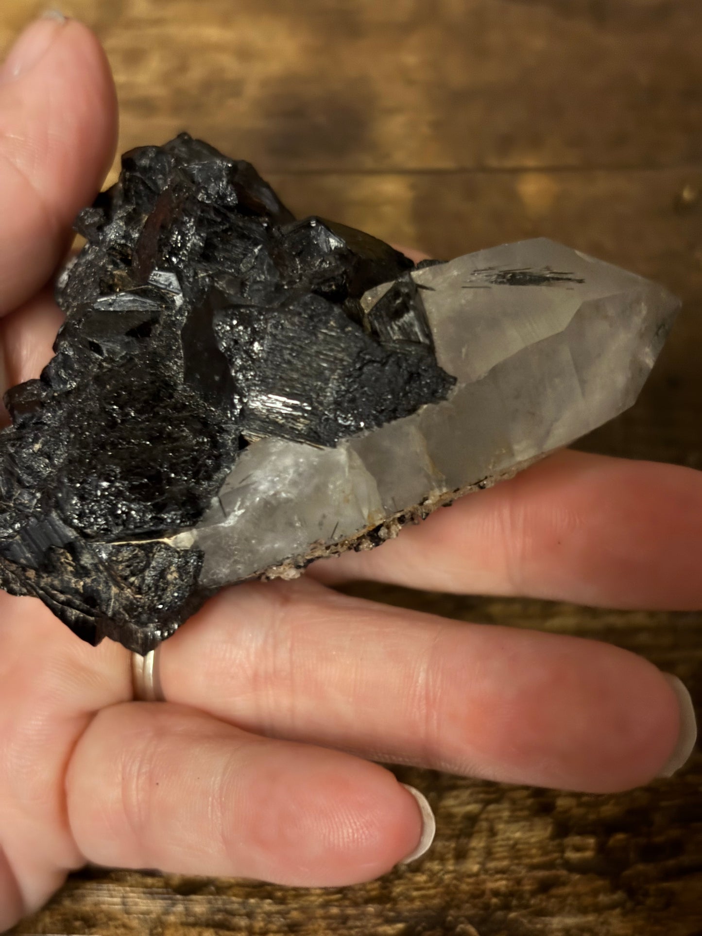 🖤Scared Shield One-of-a-Kind Black Tourmaline & Quartz Cluster | Protection Specimen | Grounding Crystal (142g)Collector•  EMF Protection • Grounding & Clarity Stone • Raw Healing Crystal