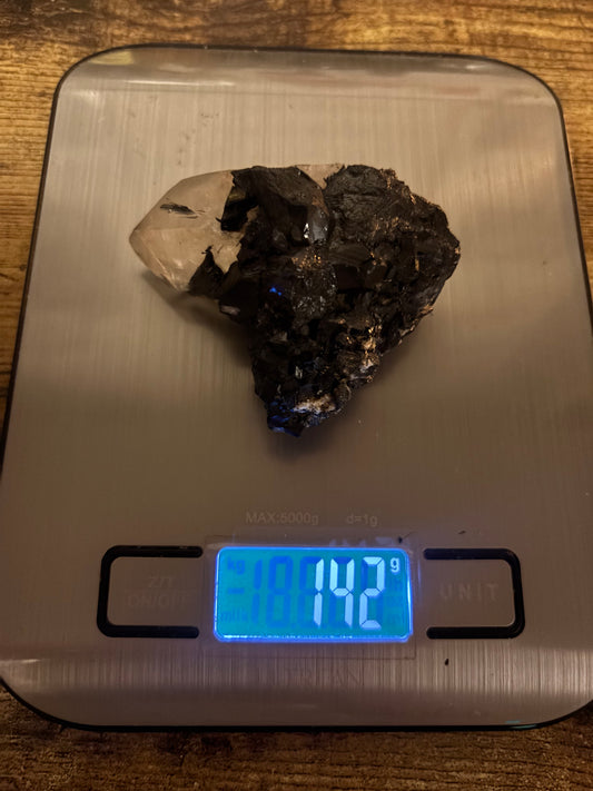 🖤Scared Shield One-of-a-Kind Black Tourmaline & Quartz Cluster | Protection Specimen | Grounding Crystal (142g)Collector•  EMF Protection • Grounding & Clarity Stone • Raw Healing Crystal