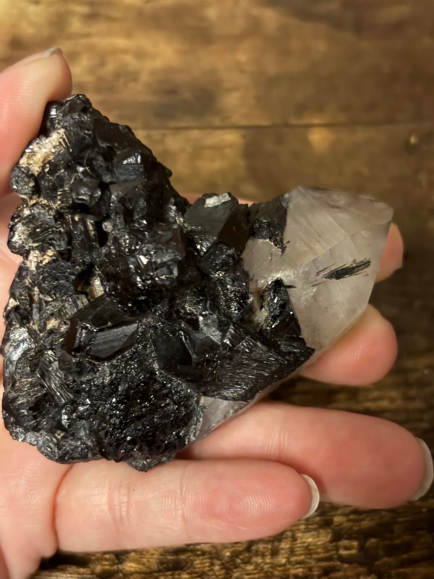 🖤Scared Shield One-of-a-Kind Black Tourmaline & Quartz Cluster | Protection Specimen | Grounding Crystal (142g)Collector•  EMF Protection • Grounding & Clarity Stone • Raw Healing Crystal