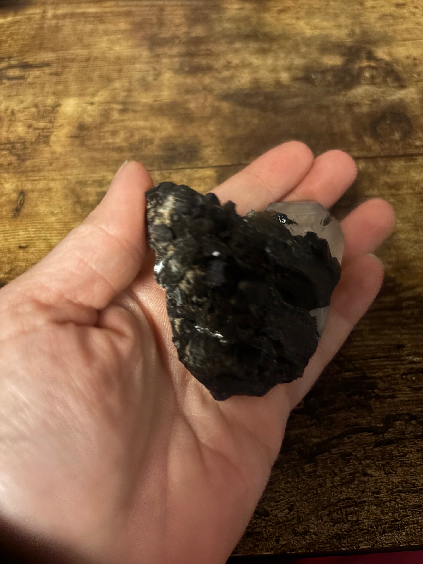 🖤Scared Shield One-of-a-Kind Black Tourmaline & Quartz Cluster | Protection Specimen | Grounding Crystal (142g)Collector•  EMF Protection • Grounding & Clarity Stone • Raw Healing Crystal