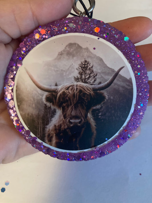 Car/Air Freshies Bull scent Fruit Loops Aroma Beads only one of these in my shop