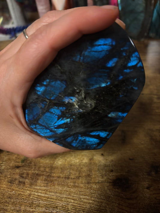 ✨ Stunning Blue Flash Labradorite Freeform | Intuition • Protection • Transformation Crystal ✨ (288g)
(10.16oz)