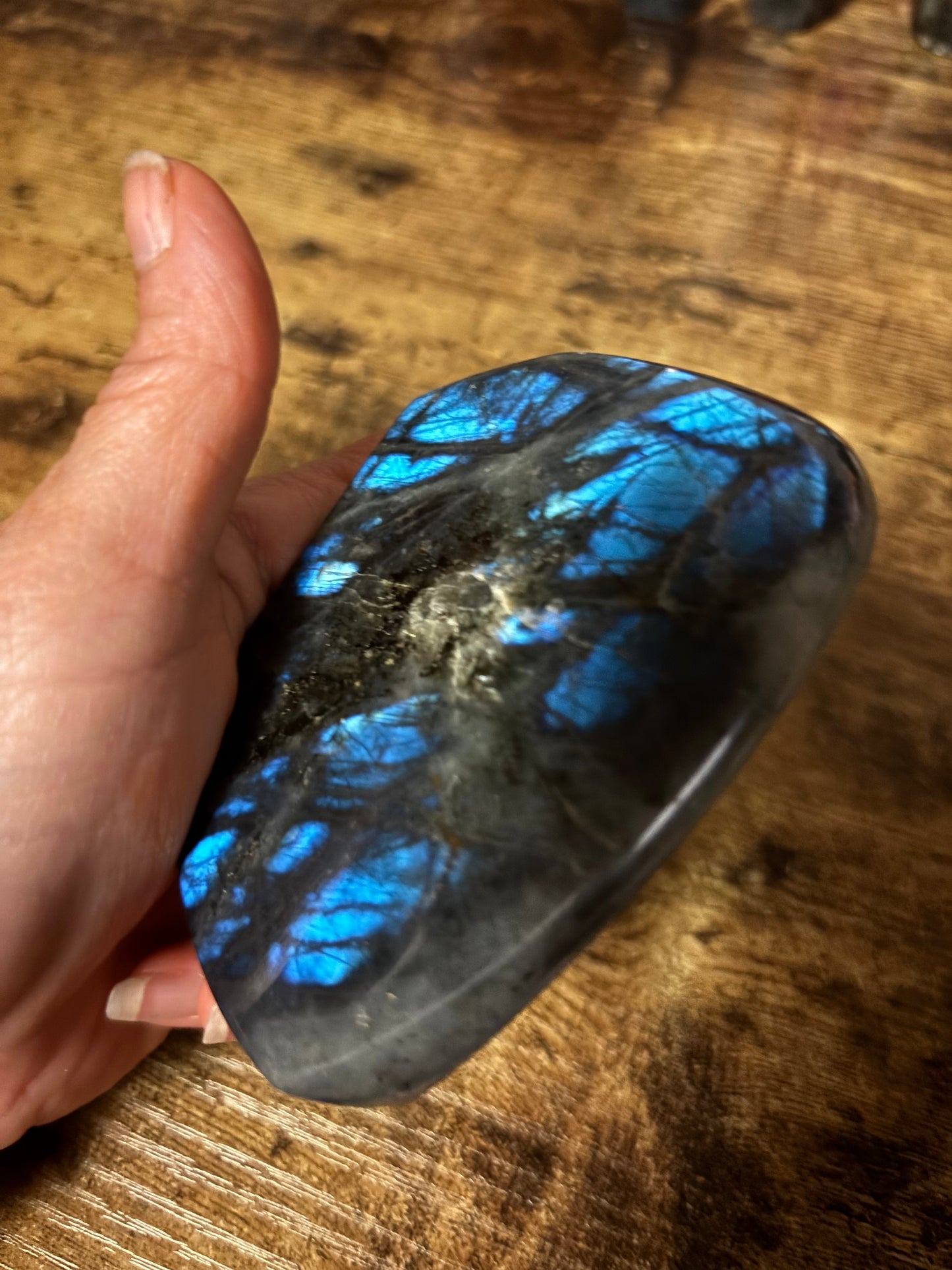 ✨ Stunning Blue Flash Labradorite Freeform | Intuition • Protection • Transformation Crystal ✨ (288g)
(10.16oz)