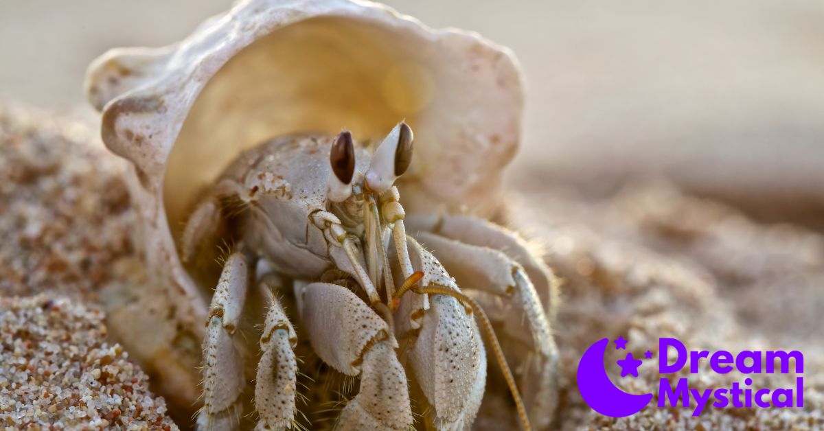 hermit crab dream meaning